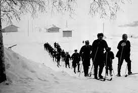 So russia fought against finland too. Ussr Russia Finland World War Ii Winter War Photos
