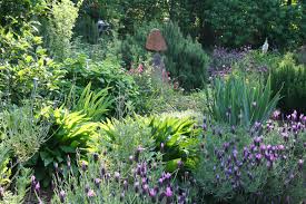 Niche Profit Classroom Herb Garden Design Vegetable Garden Planner Garden Planner