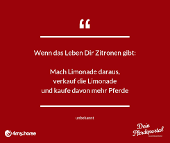 Wenn Das Leben Dir Zitronen Gibt Mach Limonade Daraus Verkauf Die Limonade Und Kaufe Mehr Pferde Davon Pferde Pferdel Pferdespruche Pferde Pferde Liebe