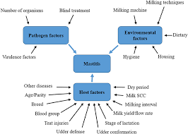 Frontiers Maintaining Optimal Mammary Gland Health And Prevention Of Mastitis Veterinary Science