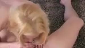 Lonely granny gives her pussy. Lonely Granny Gives Her Old Body To A Stranger Free Xxx Porn Videos Oyoh