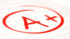 Image result for report card