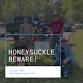 Honeysuckle Hack at Castlewood State Park event image
