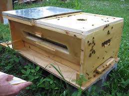 In addition to not needing foundation sheets, there are no wooden frames to assemble. Honeybeelives Org