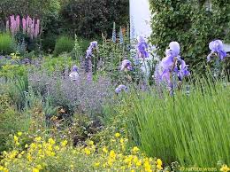Blumenbeete Im Pflegeleichten Garten Mehr Interessante Informationen Im Gartenblog Geniesser Garten Pflegeleichter Pflegeleichter Garten Blumenbeete Stauden