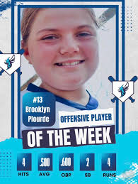 Land O Lakes Hornets 12U