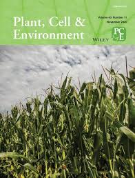 مرکزی صفحہ plant, cell & environment volume 28; Cover Image Plant Cell Environment X Mol