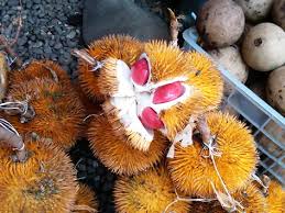 Saiz buah durian golden phoenix ni adalah sederhana besar, bujur dan mempunyai pangsa yang nipis. Buah Buahan Borneo Durian Merah Myrokan