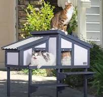 PETSFIT Outdoor Cat Houses For Multiple Cats