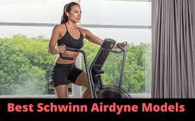 If for any reason you are not satisfied, just call us for return authorization. Best Schwinn Airdyne Bike Models Comparison History Shredded Zeus