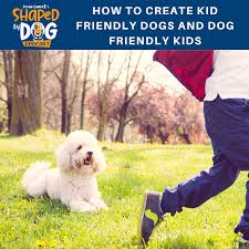 Crate games and the question of value. Shaped By Dog With Susan Garrett Podcast Podtail