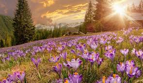 Check spelling or type a new query. Whatshot