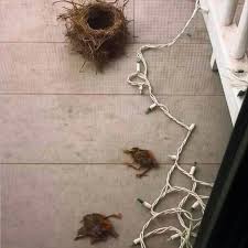 Questa mattina è successo qualcosa di terribile. Un falco è ...