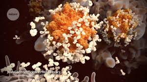 Blank books, cassettes, videotapes, or dvds; Covid Super Immunity One Of The Pandemic S Great Puzzles