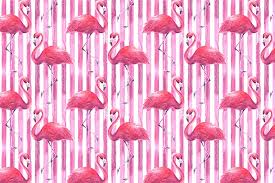 Flamingo Duvar Kagidi 42 28 81 Tl Kdv Ay'a varan vade ile alışveriş kredisi seçeneği. flamingo duvar kagidi 42 28 81 tl kdv