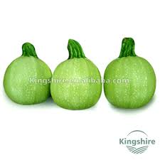 Harvest round zucchini when it's about the size of a billiard ball—there's a reason one of the most popular round zucchinis is called eight ball. if desired, you can harvest them even smaller. Cue Ball Round Zucchini Seed Round Squash View Squash Seed Kingshire Product Details From Shantou Chenghai Kingshire Vegetable Seed Institution On Alibaba Com
