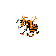 Please to search on seekpng.com. Faqs Team Tradtions Booker T Washington Hornets Swimming