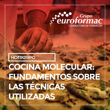 Cursos gratuitos de cocina del ayuntamiento de madrid. Curso Gratuito De Cocina Molecular