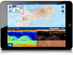 Dragonfly 4 And 5 Raymarine