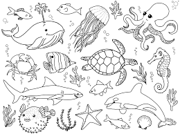 Aquatic Animals Pattern Black And White Kids Drawing Animal Drawings Drawings Aquatic Animals