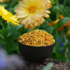 Hochaktive Spanische Blutenpollen Aus Naturbelassenen Gebirgsregionen Aspermuhle Essen Lebensmittel Nahrung