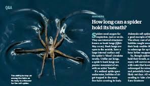 10 why i dived to 47 metres, plus? How Long Can A Spider Hold Its Breath Pressreader