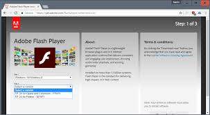 Adobe flash player (labeled shockwave flash in internet explorer, firefox, and google chrome) is computer software for content created on the adobe flash platform. Adobe Retires Flash In December 2020 Ghacks Tech News