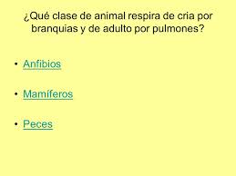 ¿por qué existen animales que respiran por la piel? El Mundo De Los Seres Vivos Ppt Descargar
