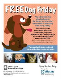 These cats are available for adoption from the aspca adoption center at 424 e. Lifeline Animal Project On Twitter It S Free Dog Friday Fcaspets Adoption Fees Waived For Many Pets And All Shots And Spay Neuter Included Adopt Http T Co By6omqeew8