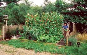 Apply a light mist ssufficient to wet the surface of the animal. 40 Gardening Tips To Maximize Your Harvest Mother Earth News