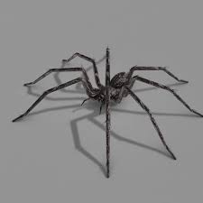 Spider 3d Model 3d Model Spider Art Spider Drawing Spider