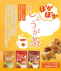からだぽかぽかしょうが茶3種セット 2g×10袋×3種類 ゆうパケット送料無料 |お茶 生姜 玄米 紅茶 ほうじ茶