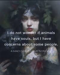 Hello! I've submitted an adoption form a few days ago but I haven't heard  back anything yet. I sent a message but I haven't heard back. Could someone  please get back to