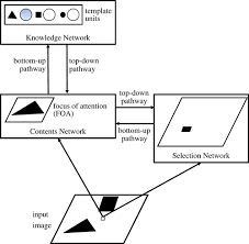 Reddit is one of the best places on the web for information and social interaction. Excitatory Versus Inhibitory Feedback In Bayesian Formulations Of Scene Construction Journal Of The Royal Society Interface