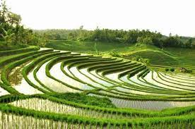  Wallpaper Pemandangan Gambar Pemandangan Alam Yang Indah Koleksi Wallpaper Pemandangan Alam Air Terjun Natural 5 Mo Pemandangan Alam Yang Indah Wallpaper Alam