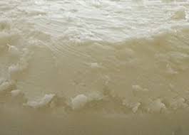 Che cos è la sugna. La Differenza Tra Sugna E Strutto Fantasia E Cucina