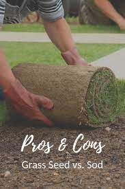 Grass Seed Vs Sod Reasons To Seed Your Lawn Or Use Sod Instead Gardening Know How S Blog Grass Seed Planting Grass Sod Grass
