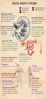 Manual Of Medicine On Twitter Acute Kidney Failure Kidney Nephrology Renal Kidneydisease Meded Foamed Https Nurse Medical Education Nurse Practitioner