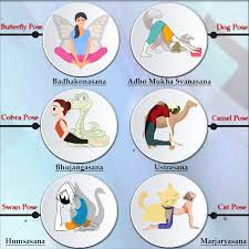 Before jumping into this asana lets see about what yoga is. Pin Su Yoga Benefits