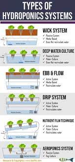 How Different Hydroponics Growing System Works Pros Cons Hydroponics Hydroponics System Hydroponics Diy