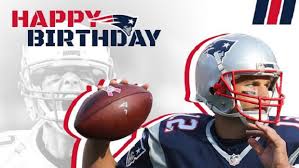 the patriots brought the perfect animals to camp for tom brady s birthday article bardown patriots brought the perfect animals