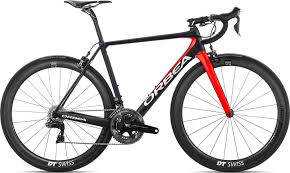 Image result for Orbea maculata