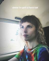 Flowers for vases is essentially williams' first true solo endeavor. New Look Coming For Hayley Paramore