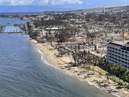TV Anchor and Hawaii Native Recounts Destruction of the Deadly Maui  Wildfires 