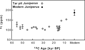 Carbon Starvation In Glacial Trees Recovered From The La Brea Tar Pits Southern California Pnas