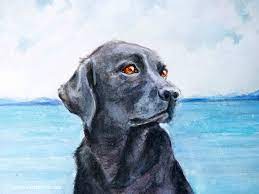 Page 1 of free vector watercolor animal. Animal Paintings In Watercolor Jennifer Frith Artist Illustrator