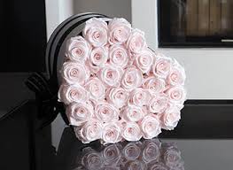 Bouquets de fleurs, fleurs à la botte, plantes. Rosenboxen Und Flowerbox Fleurs De Paris