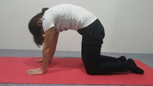 Disc herniation can occur in any disc in the spine, but the two most common forms are lumbar disc herniation and cervical disc herniation. The 7 Best Exercises For Back Pain Slipped Disc And Sciatica Dr Gary Tho