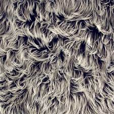 Shannon Faux Fur Gorilla Grey Black Frost From Fabricdotcom From Shannon Fabrics This Super Soft High Quality Faux Fur Fabric H Fur Faux Fur Faux Fur Fabric