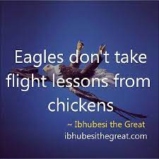 Word Sound Archives Ibhubesi The Great Eagles Quotes Inspirational Quotes Bear Quote
